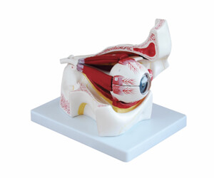 BioLab Products